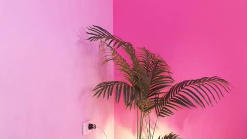 LANA online show from 01-18-26, 02:59