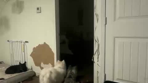 lanasharapovaxxx online show from 02-18-26, 12:28