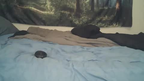 Snapshot of larbie chatting on 04-27-26, 12:19 Larbie online show from 04-27-26, 12:19