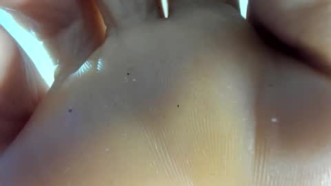 Snapshot of latin__curly chatting on 11-07-25, 12:54 Afrodita online show from 11-07-25, 12:54