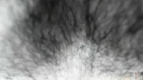 Zeus online show from 02-03-26, 08:08