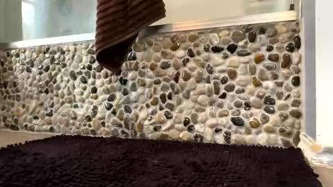 Snapshot of latinlover199518 chatting on 04-16-26, 01:23 latinlover199518 online show from 04-16-26, 01:23