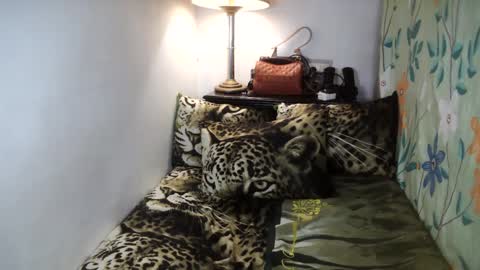 Belle online show from 02-02-25, 08:13