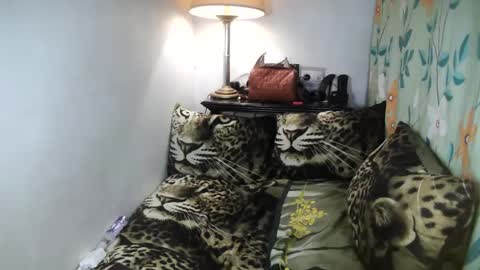 Belle online show from 02-08-25, 10:08