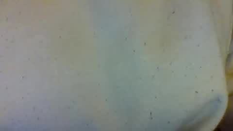 Snapshot of layannalea chatting on 02-13-26, 07:04 layannalea online show from 02-13-26, 07:04