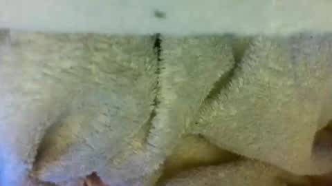 Snapshot of layannalea chatting on 04-09-26, 06:30 layannalea online show from 04-09-26, 06:30