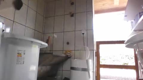 Snapshot of laylabrasil chatting on 02-12-25, 04:22 kelly online show from 02-12-25, 04:22
