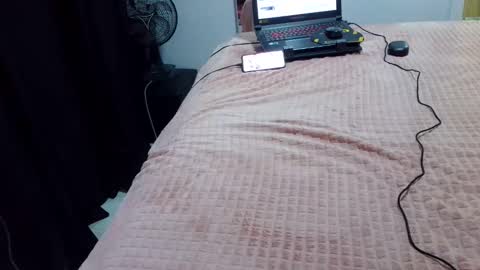 Snapshot of laylabrasil chatting on 02-20-25, 02:40 kelly online show from 02-20-25, 02:40