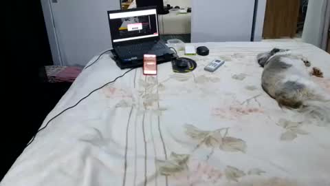 Snapshot of laylabrasil chatting on 10-09-25, 04:54 kelly online show from 10-09-25, 04:54