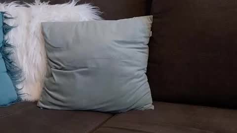 lazlow2000 online show from 01-07-26, 07:44