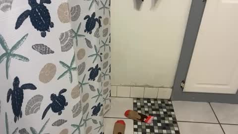 lazyladypug425146 online show from 12-15-25, 05:17