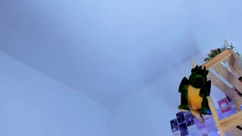 Ellie online show from 10-03-25, 06:54