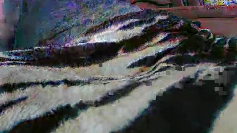 Snapshot of ledmax07 chatting on 04-13-26, 01:22 ledmax07 online show from 04-13-26, 01:22