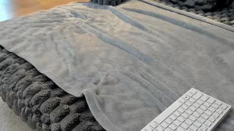 Elle  online show from 03-11-26, 06:41