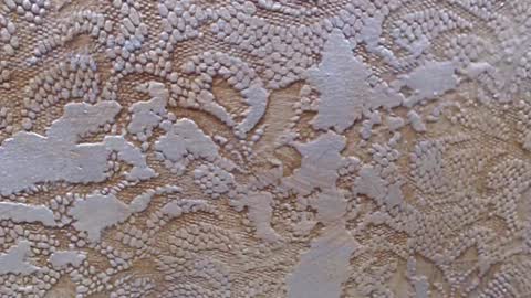 leoroman online show from 02-06-25, 06:24