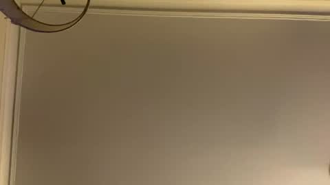letmetasteit4444 online show from 07-20-26, 02:48