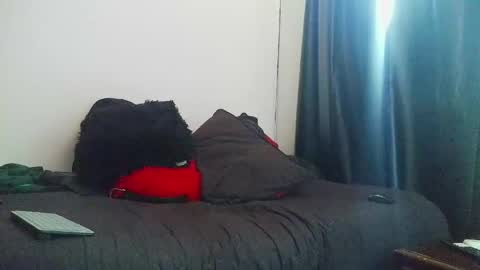 Snapshot of letorres23 chatting on 04-27-26, 12:36 Torres online show from 04-27-26, 12:36