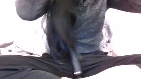 lets_play143 online show from 02-16-26, 07:04