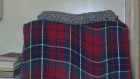 levon48 online show from 12-19-24, 01:28