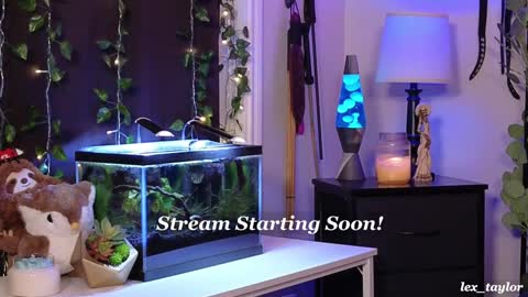 Snapshot of lex_taylor chatting on 01-14-25, 04:15 Lex online show from 01-14-25, 04:15