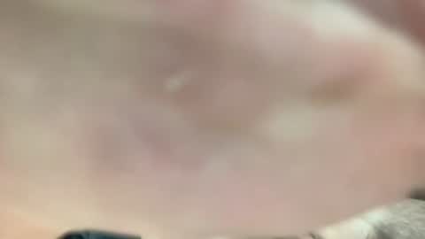 Snapshot of lexiejohnson233 chatting on 12-02-25, 08:59 lexiejohnson233 online show from 12-02-25, 08:59