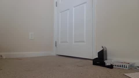 Alexia L. online show from 02-06-26, 06:33