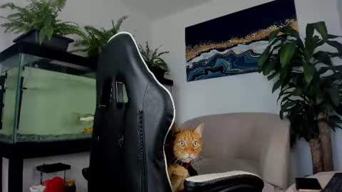 Snapshot of lia_lovelly chatting on 07-14-26, 03:40 lia_lovelly online show from 07-14-26, 03:40