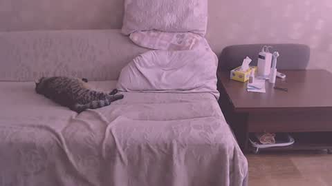 Snapshot of liahsofty chatting on 08-06-26, 12:29 miss Lia colection for travel online show from 08-06-26, 12:29