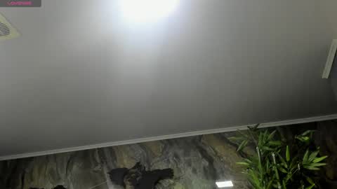 LIAM KLEIN online show from 01-25-25, 11:23