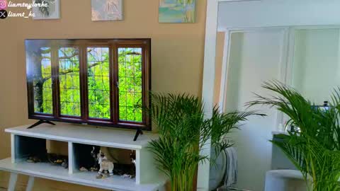 Tell me Liam online show from 12-17-25, 09:32