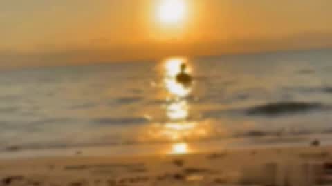 Snapshot of liamtaylor_ chatting on 01-16-26, 11:53 Tell me Liam online show from 01-16-26, 11:53