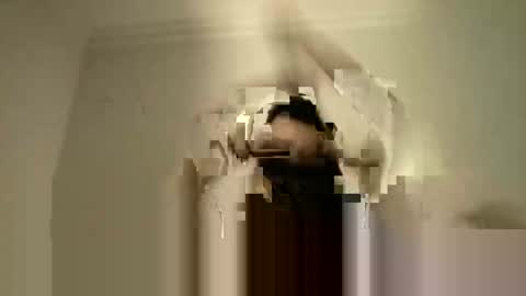 LPBT online show from 09-15-25, 09:15