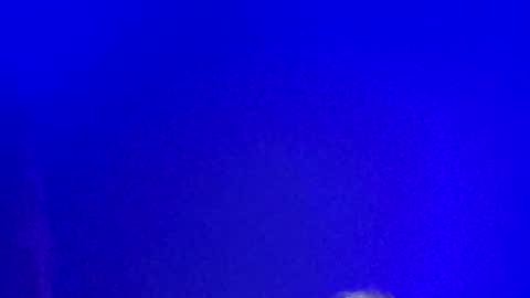 LickYourYoni online show from 01-13-25, 02:21