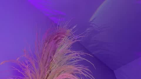 Snapshot of liiamluna chatting on 01-07-26, 12:40 Liiam Luna online show from 01-07-26, 12:40