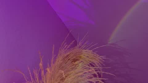 Snapshot of liiamluna chatting on 01-17-26, 09:14 Liiam Luna online show from 01-17-26, 09:14