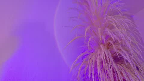 Snapshot of liiamluna chatting on 03-31-26, 09:10 Liiam Luna online show from 03-31-26, 09:10