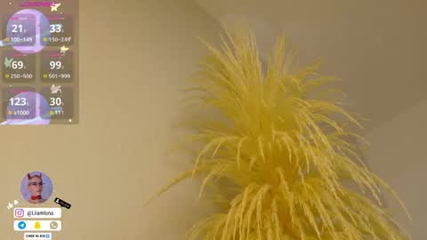 Snapshot of liiamluna chatting on 04-15-26, 10:00 Liiam Luna online show from 04-15-26, 10:00