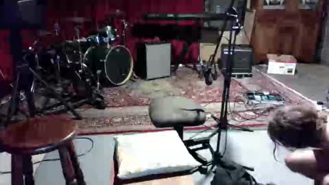 like2dildo online show from 02-13-26, 04:36