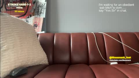 likeasnack online show from 04-15-26, 02:24