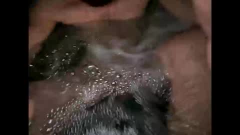 likethat6999 online show from 04-07-26, 08:59