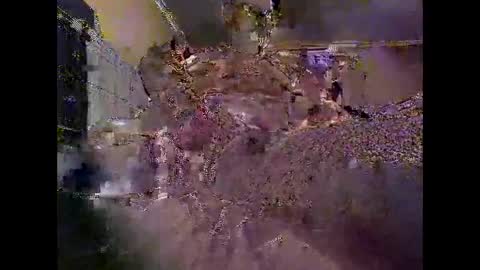 liketowatch1234529419 online show from 06-03-26, 02:33
