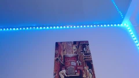 Lisaa online show from 12-08-24, 09:35