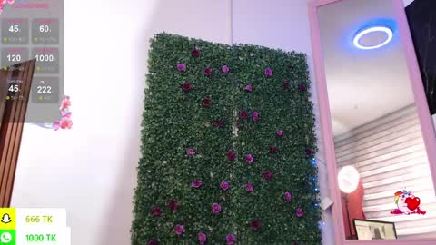   online show from 04-06-26, 02:40