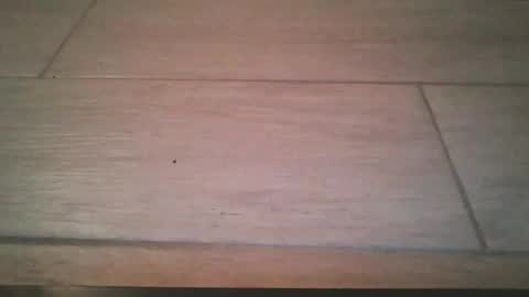 lildicksissy online show from 11-22-25, 11:59