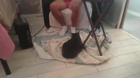 lildicksissy online show from 11-28-25, 05:59