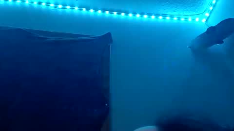 lildman420 online show from 11-12-25, 08:48