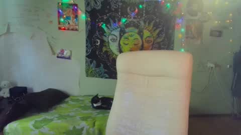 Lil online show from 03-19-26, 02:59