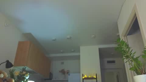 lili__roze_ online show from 04-02-26, 05:16