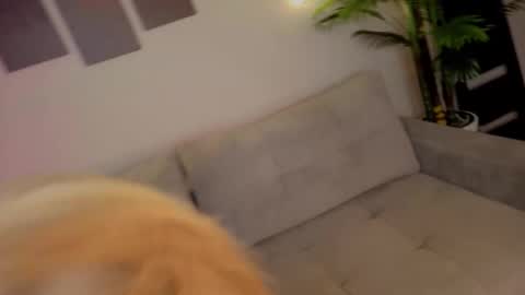 lililok101 online show from 10-17-25, 02:04