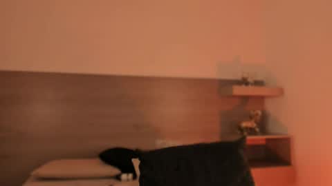 lilith_sage_ online show from 03-29-26, 12:10